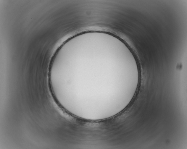 X0000112541237200909141304