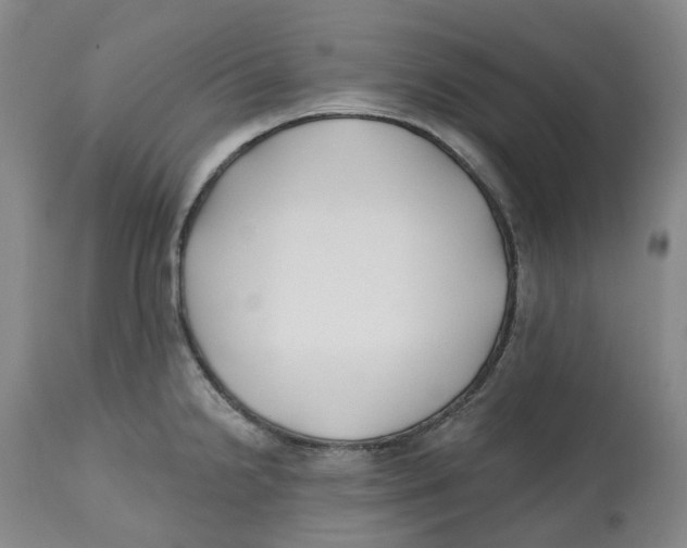 X0000112541238200909141304