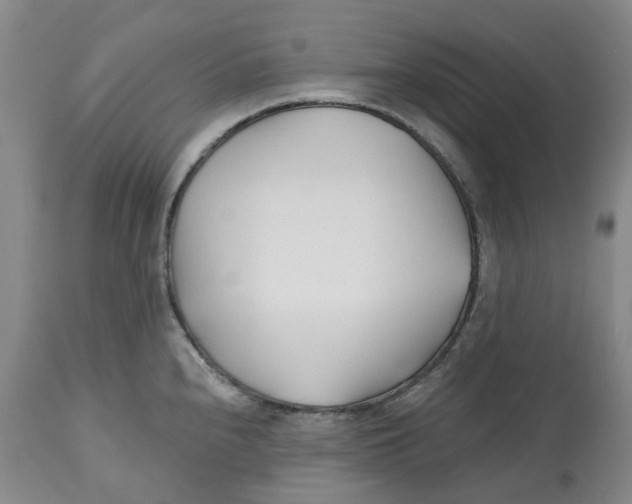 X0000112541240200909141304