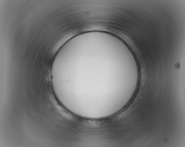 X0000112541241200909141304