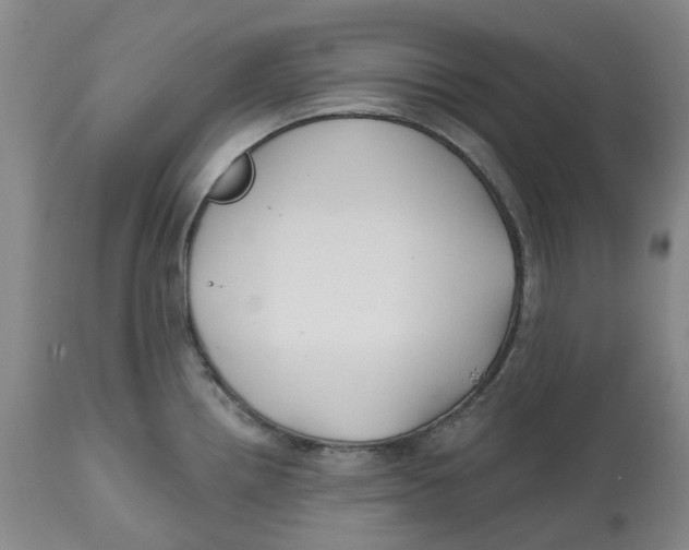 X0000112541242200909141304