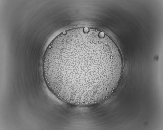 X0000112541243200909141304