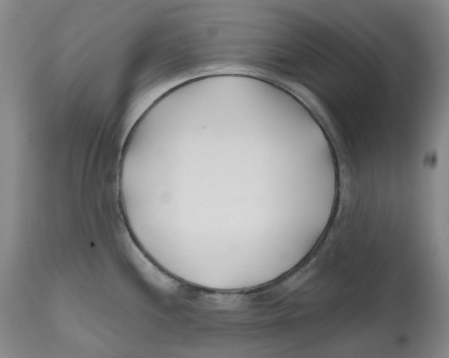 X0000112541244200909141304