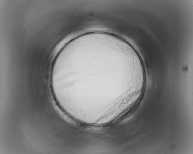 X0000112541245200909141304