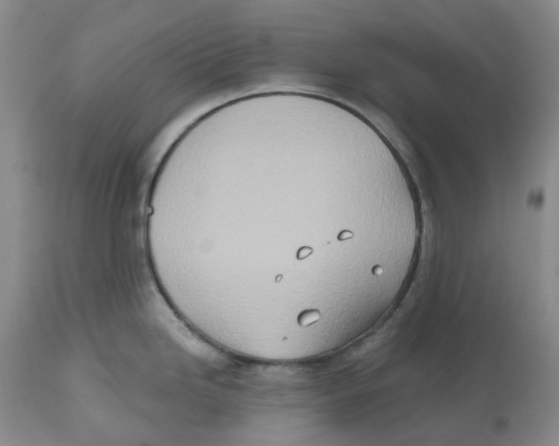 X0000112541246200909141304