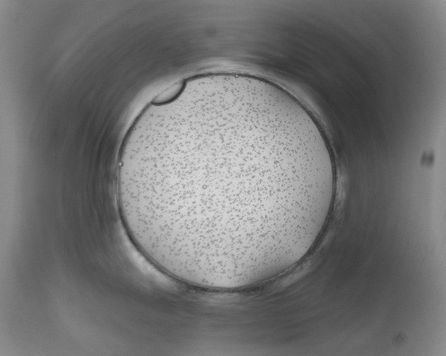 X0000112541247200909141305