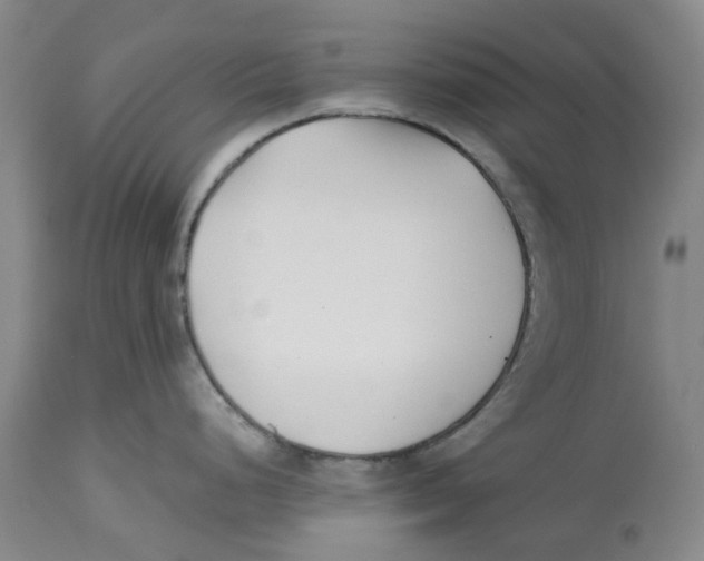 X0000112541248200909141305