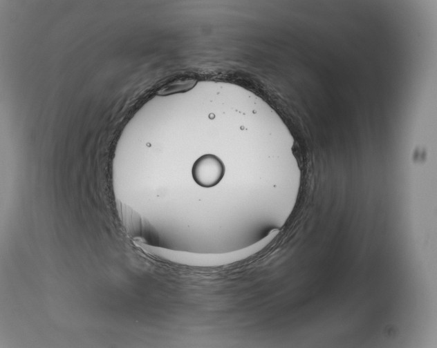X0000112541249200909141304