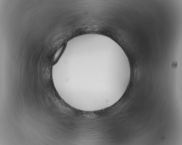 X0000112541250200909141304