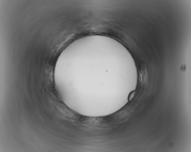 X0000112541251200909141304