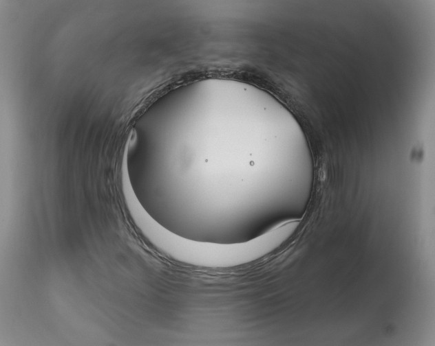 X0000112541252200909141304