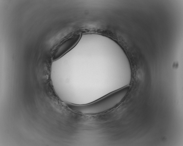 X0000112541253200909141304