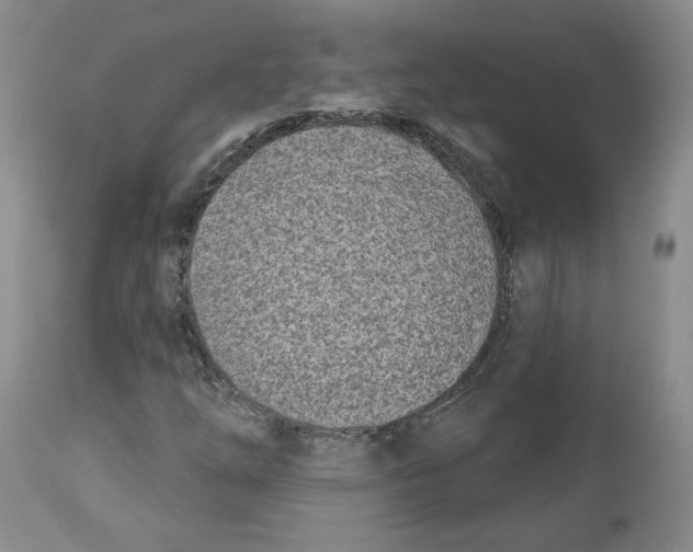 X0000112541254200909141304