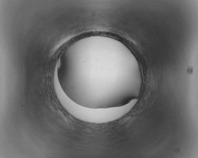 X0000112541255200909141304