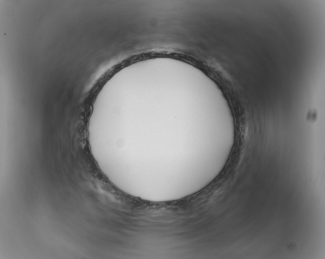 X0000112541256200909141304