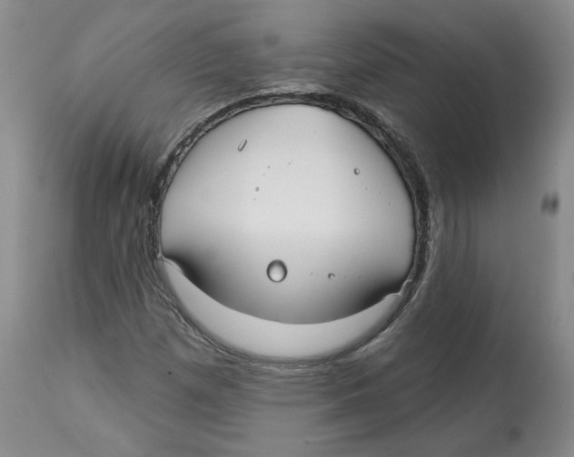 X0000112541257200909141304