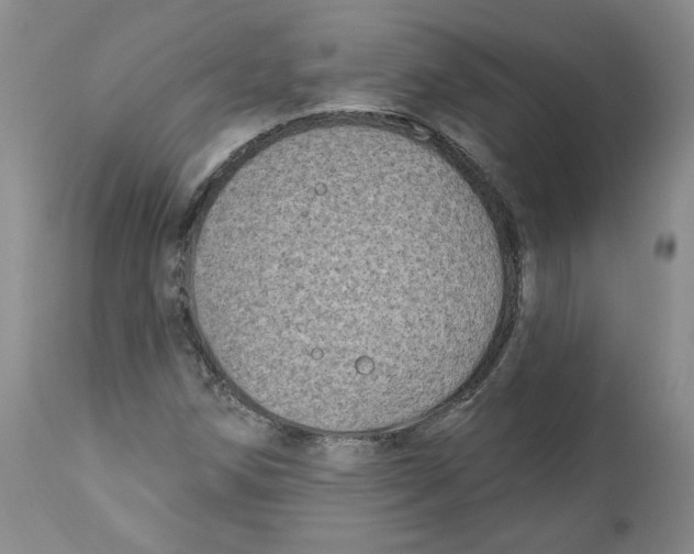 X0000112541258200909141304