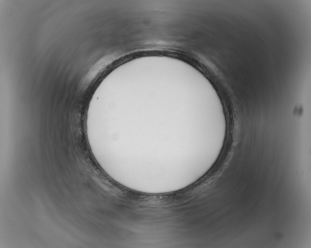 X0000112541259200909141304