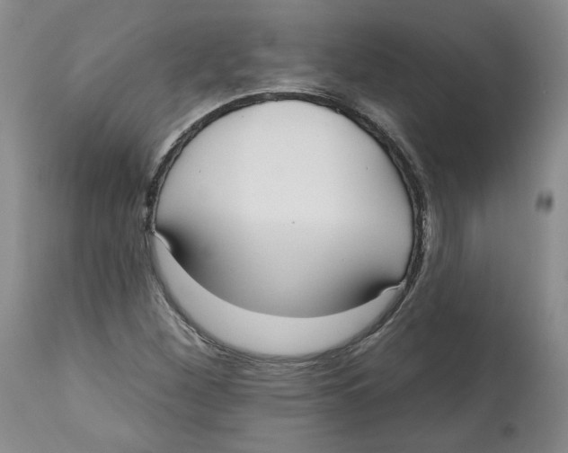 X0000112541260200909141304
