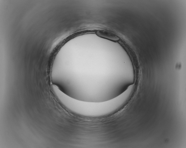 X0000112541261200909141304