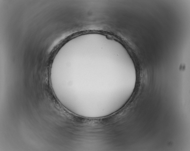 X0000112541262200909141304