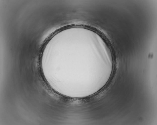 X0000112541263200909141304