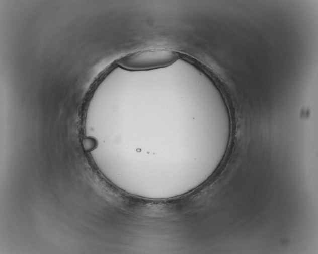 X0000112541264200909141304