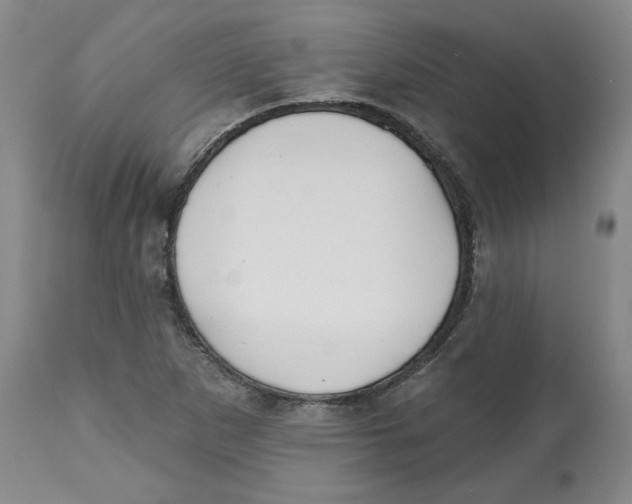 X0000112541265200909141304