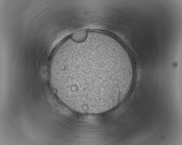 X0000112541266200909141304