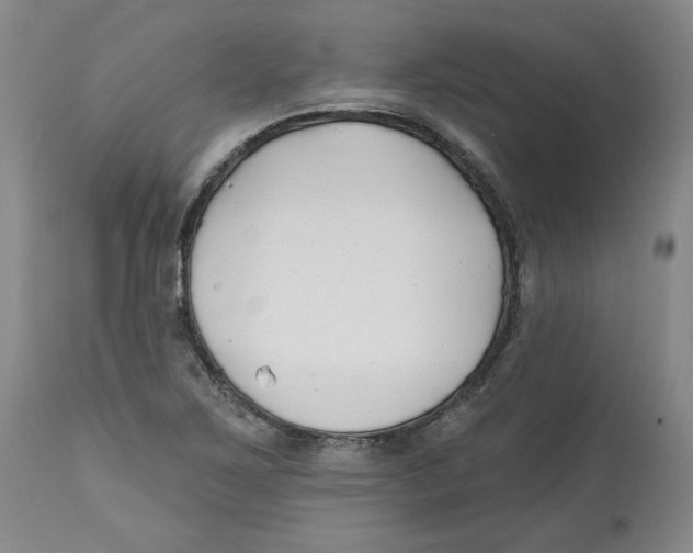 X0000112541267200909141304