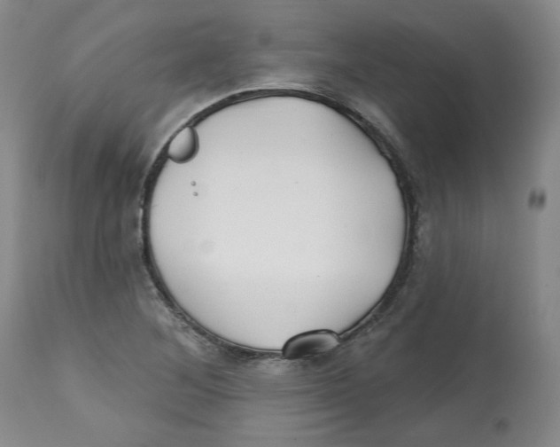 X0000112541268200909141304