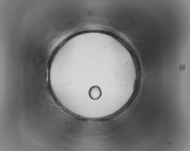 X0000112541269200909141304