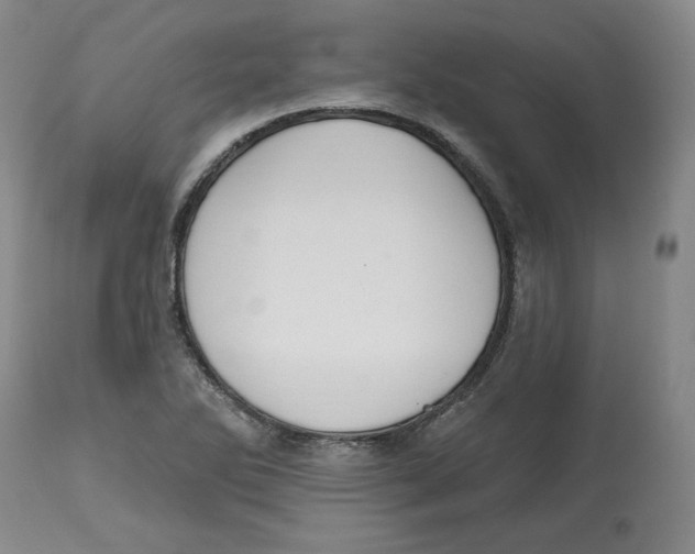 X0000112541270200909141304