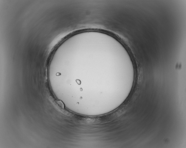 X0000112541271200909141304