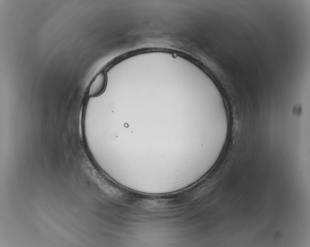 X0000112541272200909141304