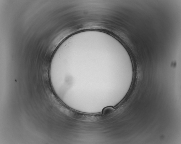 X0000112541273200909141304
