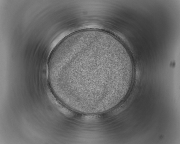 X0000112541274200909141304