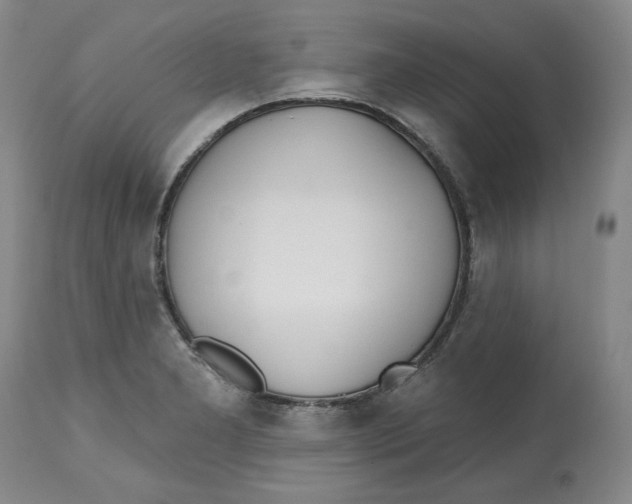 X0000112541277200909141303