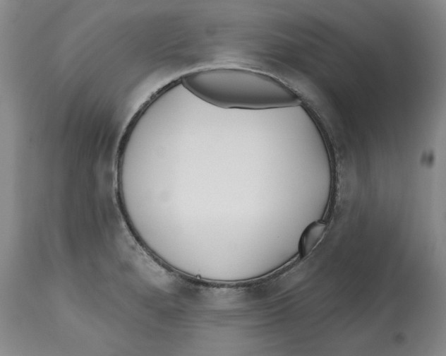 X0000112541280200909141303