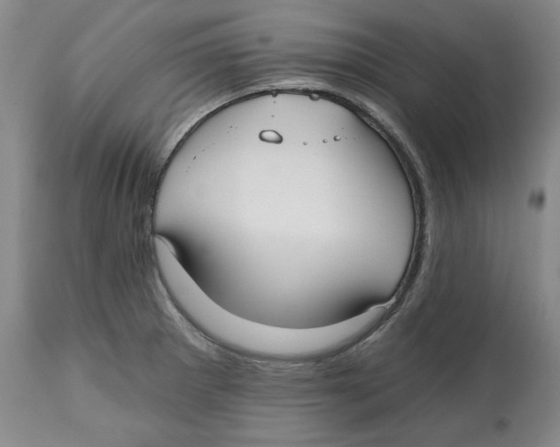 X0000112541281200909141303