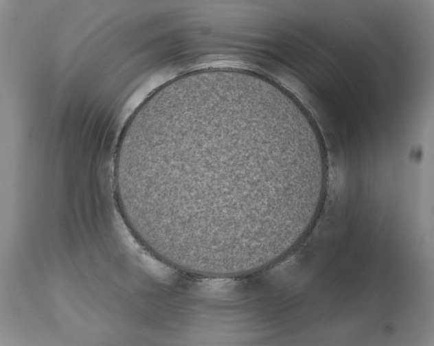 X0000112541282200909141303