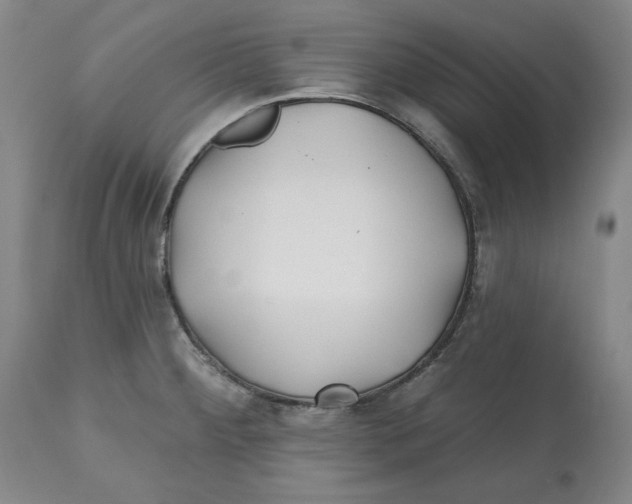 X0000112541284200909141303