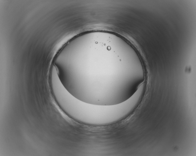 X0000112541285200909141303