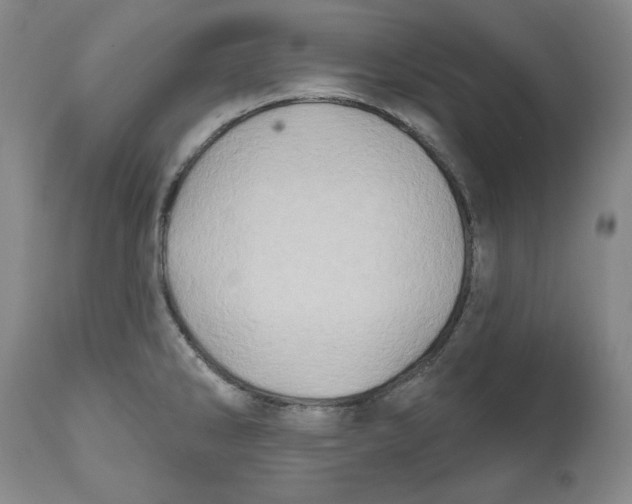 X0000112541286200909141303