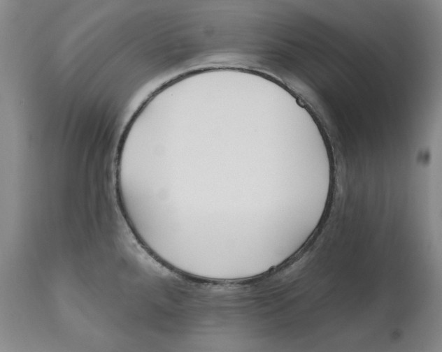 X0000112541288200909141303
