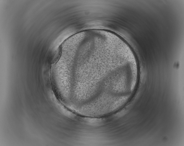 X0000112541289200909141303