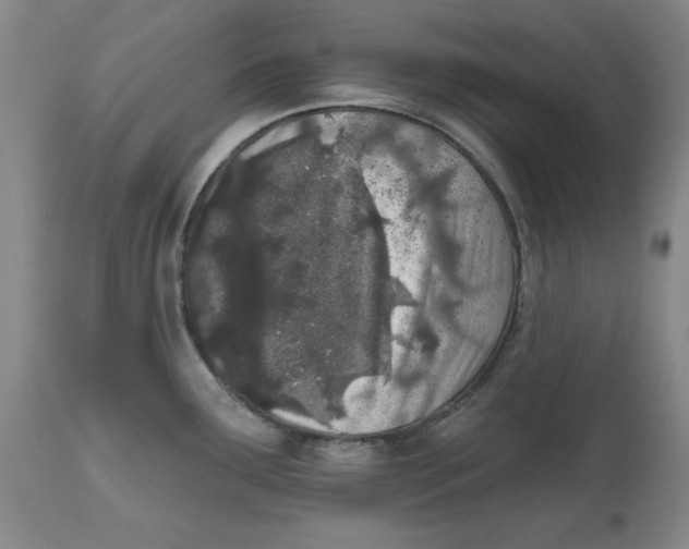 X0000112541291200909141303