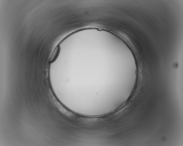X0000112541292200909141303