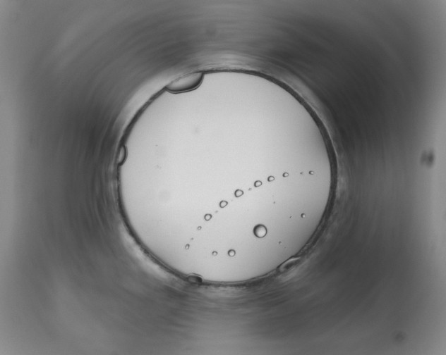 X0000112541293200909141303