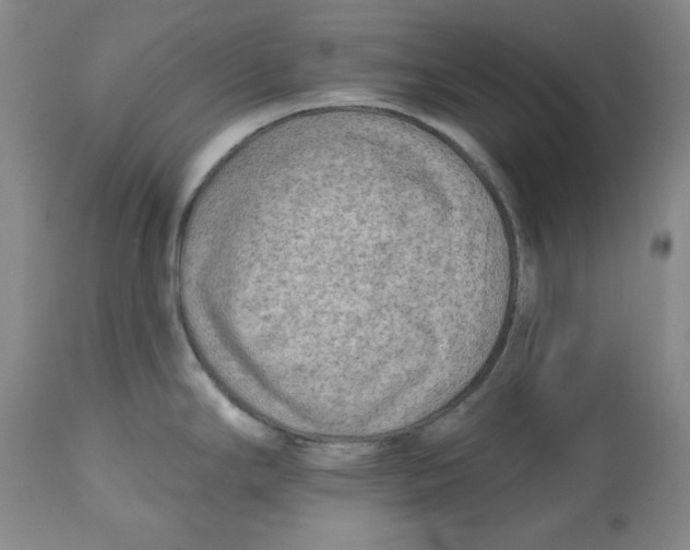 X0000112541294200909141303
